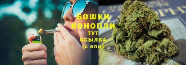 хмурый Корсаков