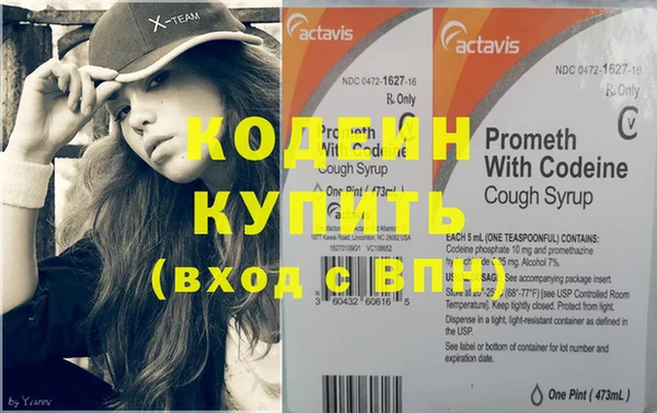 хмурый Корсаков