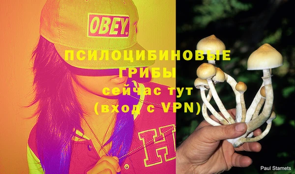 хмурый Корсаков