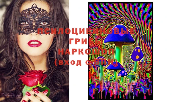 хмурый Корсаков