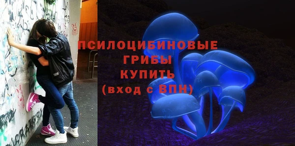 гашик Краснослободск