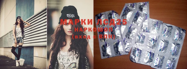 ГАЛЛЮЦИНОГЕННЫЕ ГРИБЫ Коряжма
