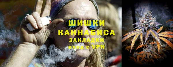 ГАЛЛЮЦИНОГЕННЫЕ ГРИБЫ Коряжма