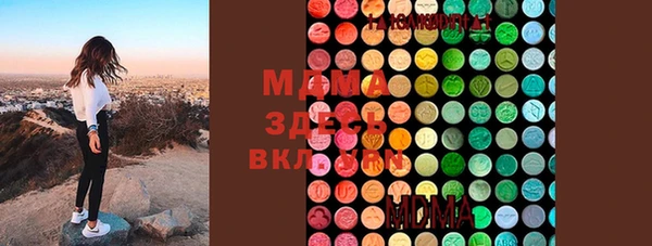 гашик Краснослободск