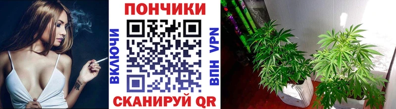 Конопля White Widow  Кувандык 
